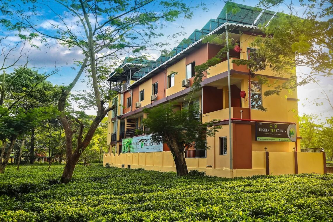 Tusker Tea Country,gorumara
