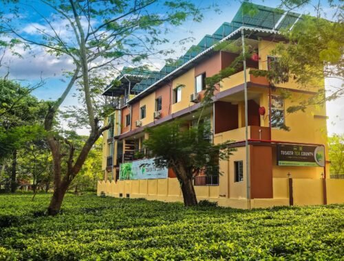 Tusker Tea Country,gorumara