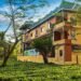 Tusker Tea Country,gorumara