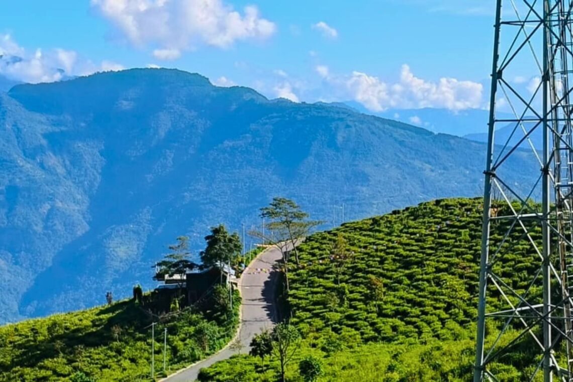 Tinchuley, a serene eco-village in West Bengal, offers panoramic Himalayan views, orange orchards, tea gardens, and peaceful homestays.