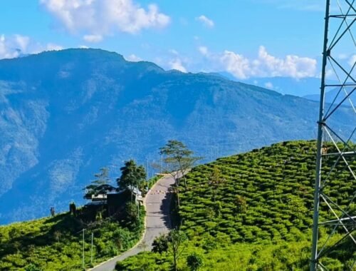 Tinchuley, a serene eco-village in West Bengal, offers panoramic Himalayan views, orange orchards, tea gardens, and peaceful homestays.