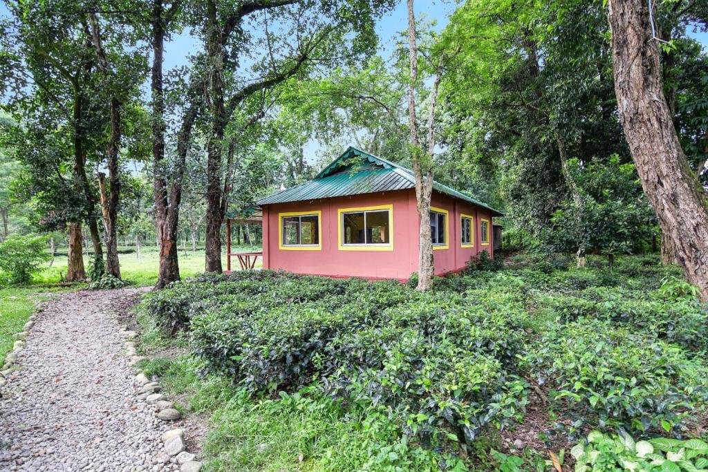 Gorumara Jungle Resort,Chalsa