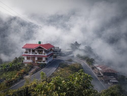 naina homestay,charkhole
