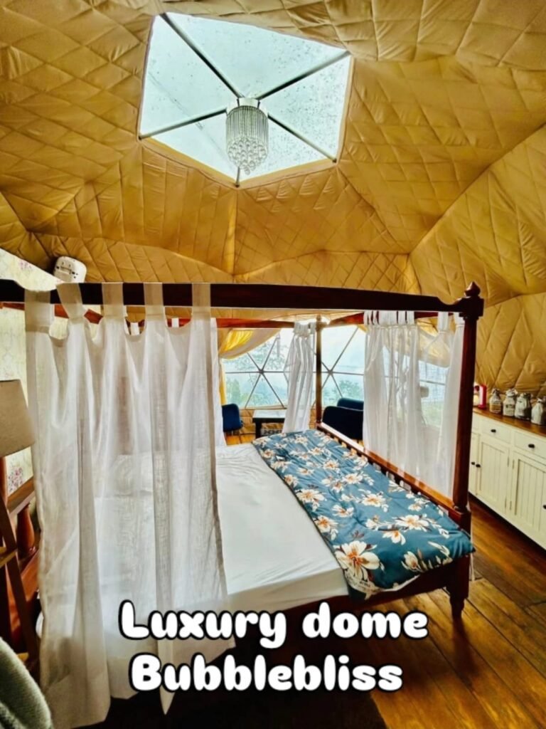 Bubble Bliss Dome,Tinchuley