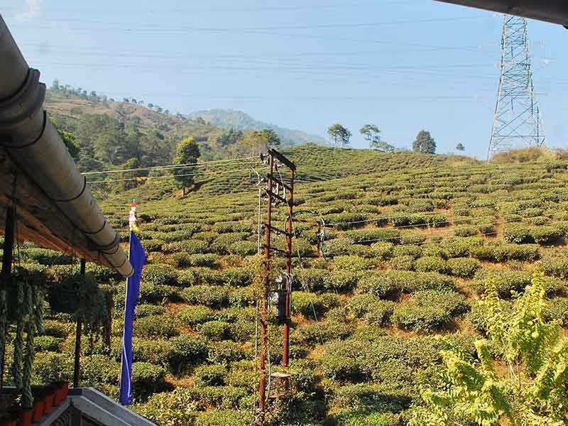 yomlo Homestay,tabakoshi